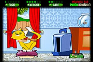 Gatitos que necesitan dueño